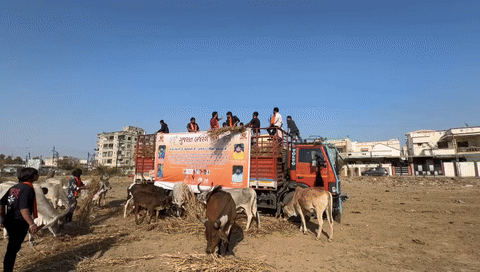 ગુજરાત પ્રદેશ અધ્યક્ષ