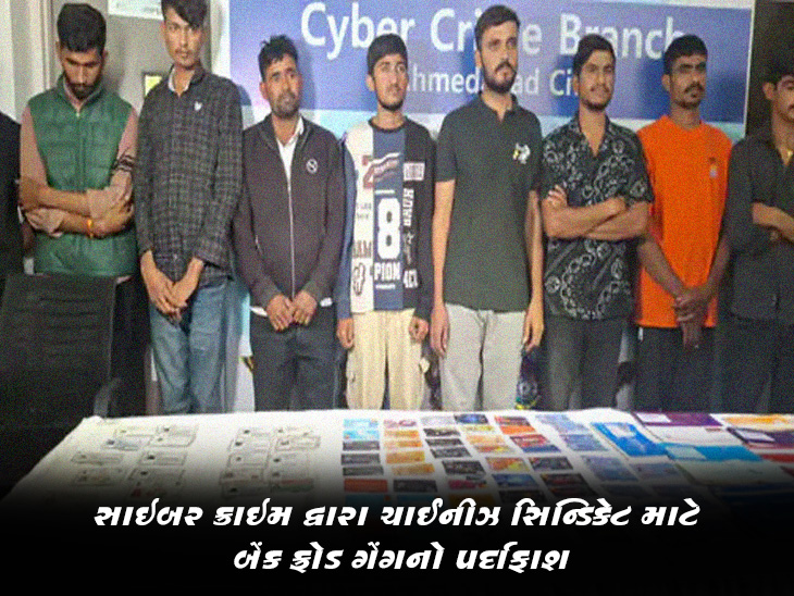 સાઇબર ક્રાઇમ