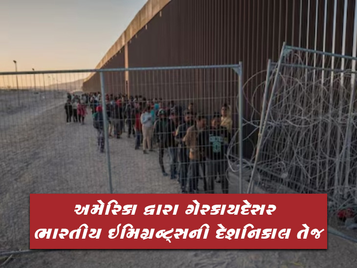 ઇમિગ્રન્ટ્સ