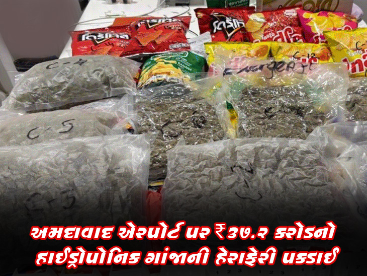 હાઈડ્રોપોનિક