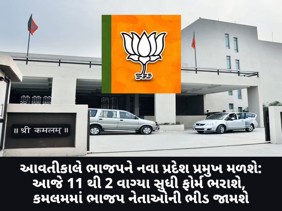 પ્રદેશ પ્રમુખ