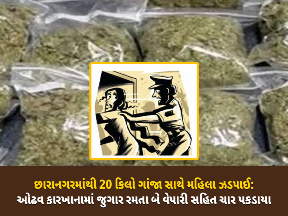 ક્રાઈમ બ્રાન્ચ