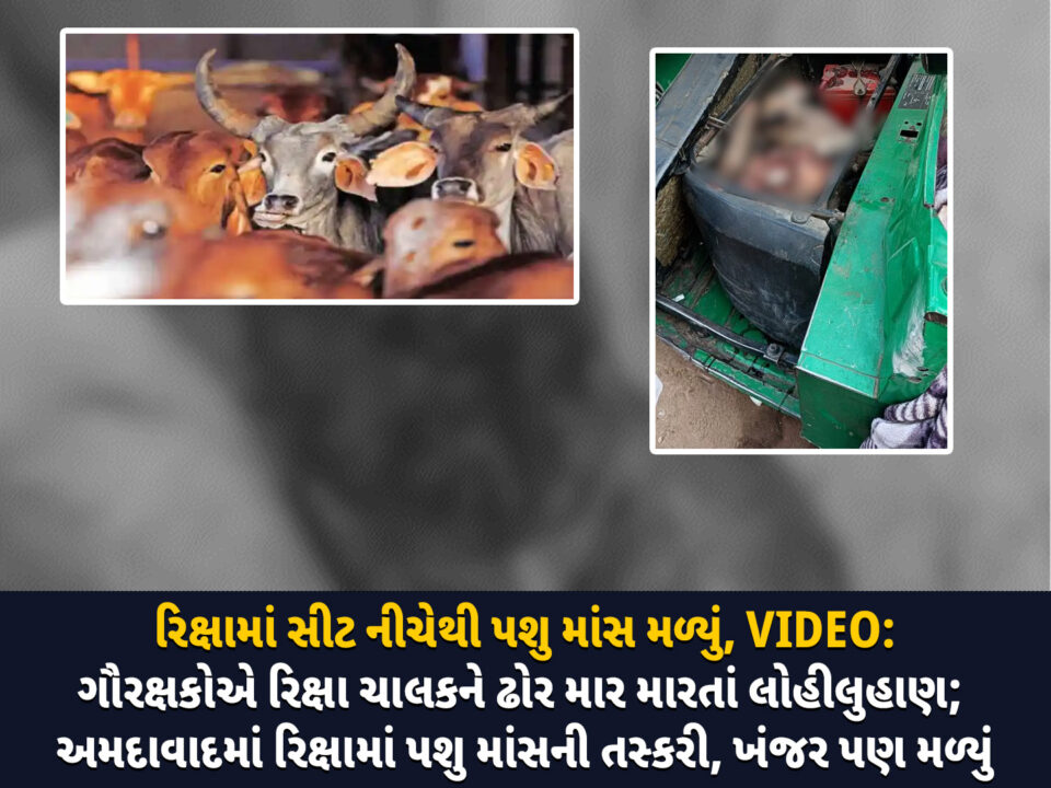 ગૌરક્ષકો